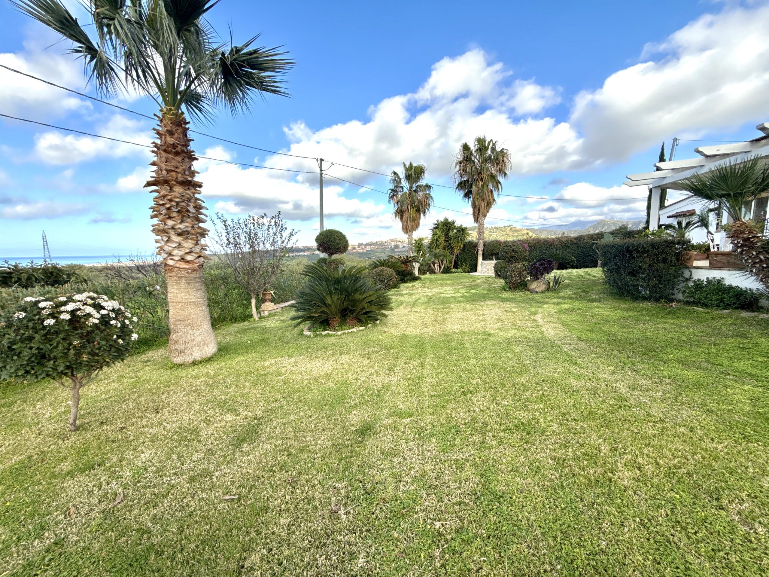 DJI_20260224_152728_364