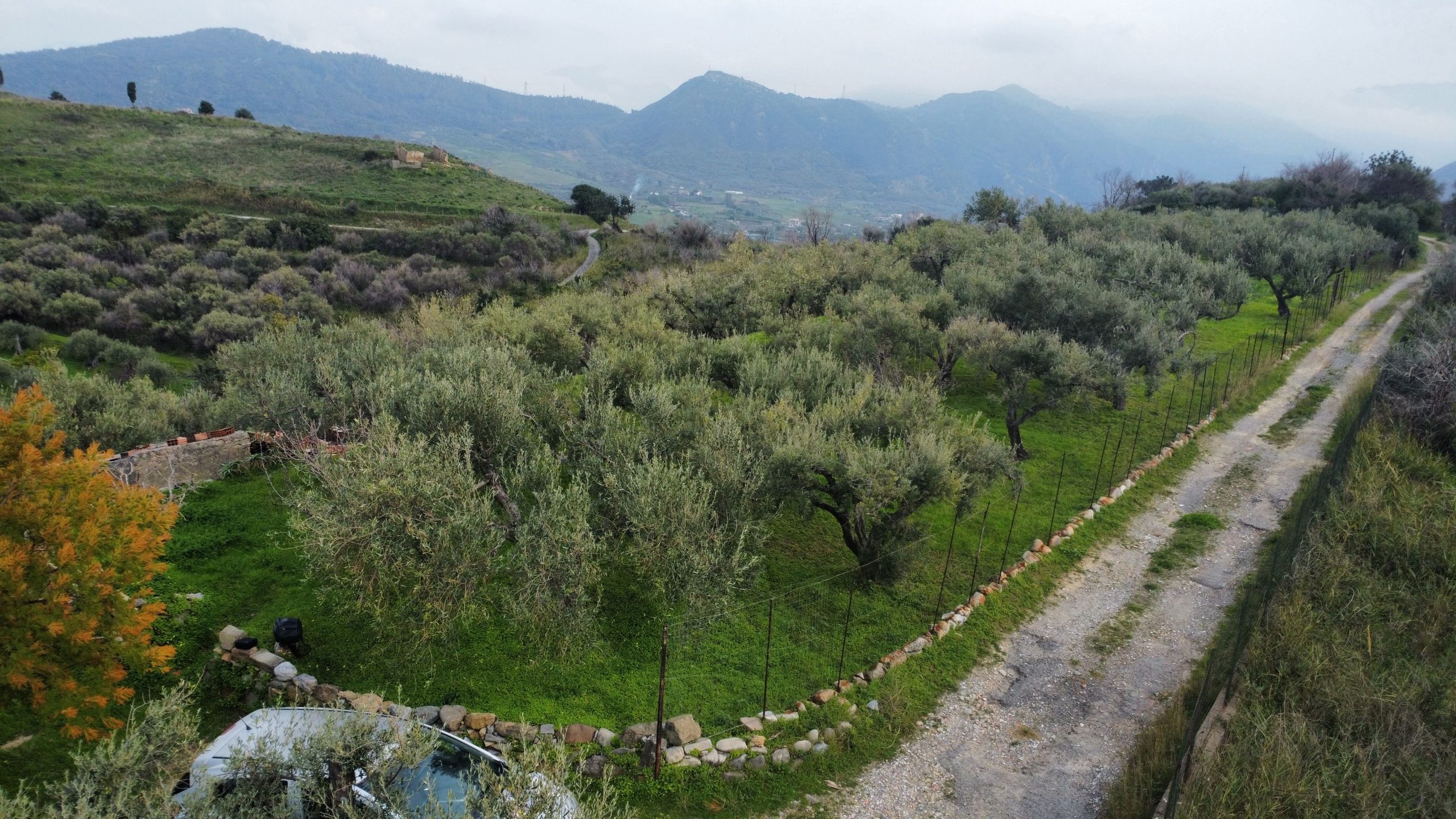dji_fly_20260302_151056_919_1777468158196_photo_optimized