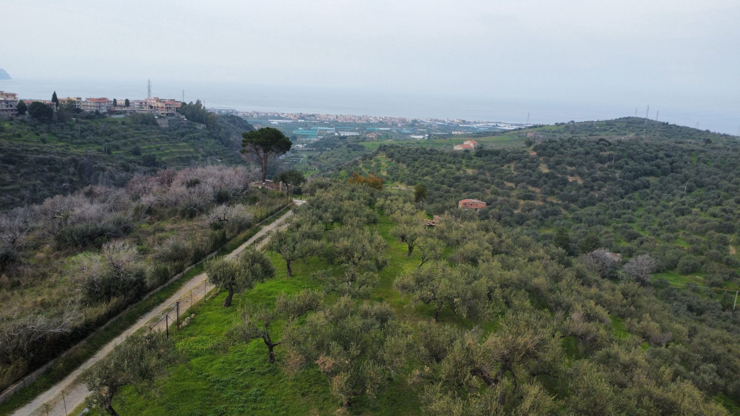 dji_fly_20260302_151128_920_1777468156178_photo_optimized