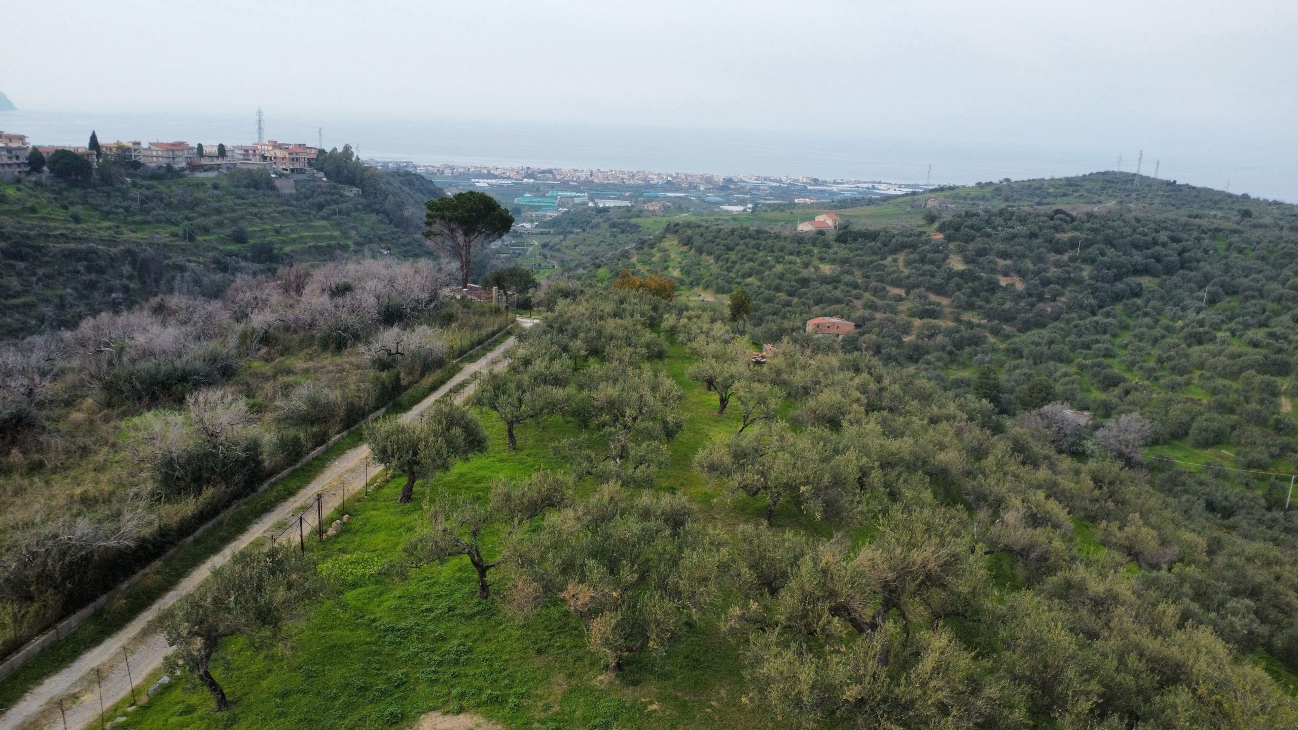 dji_fly_20260302_151130_921_1777468153074_photo_optimized