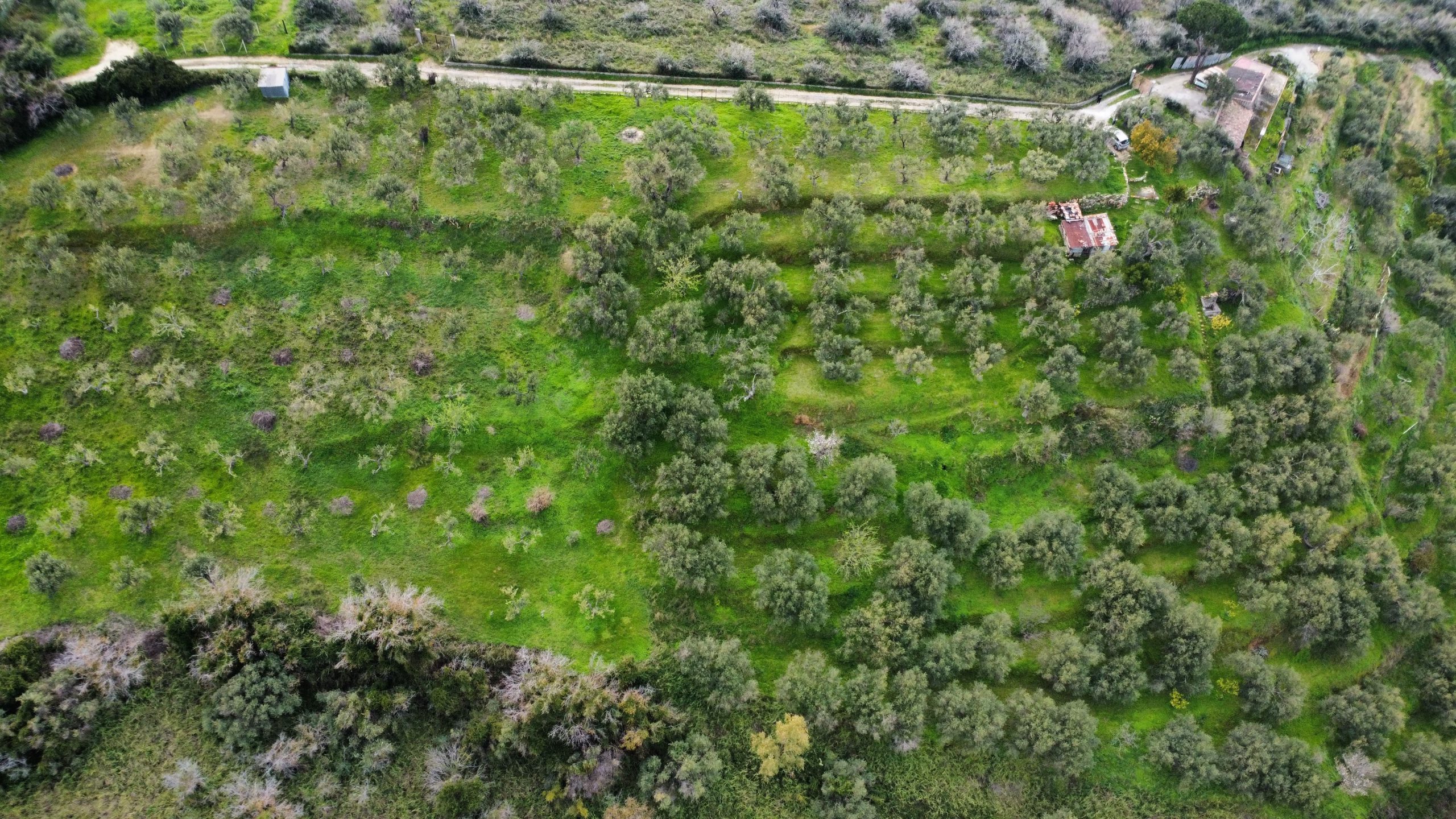 dji_fly_20260302_151214_923_1777468165985_photo_optimized