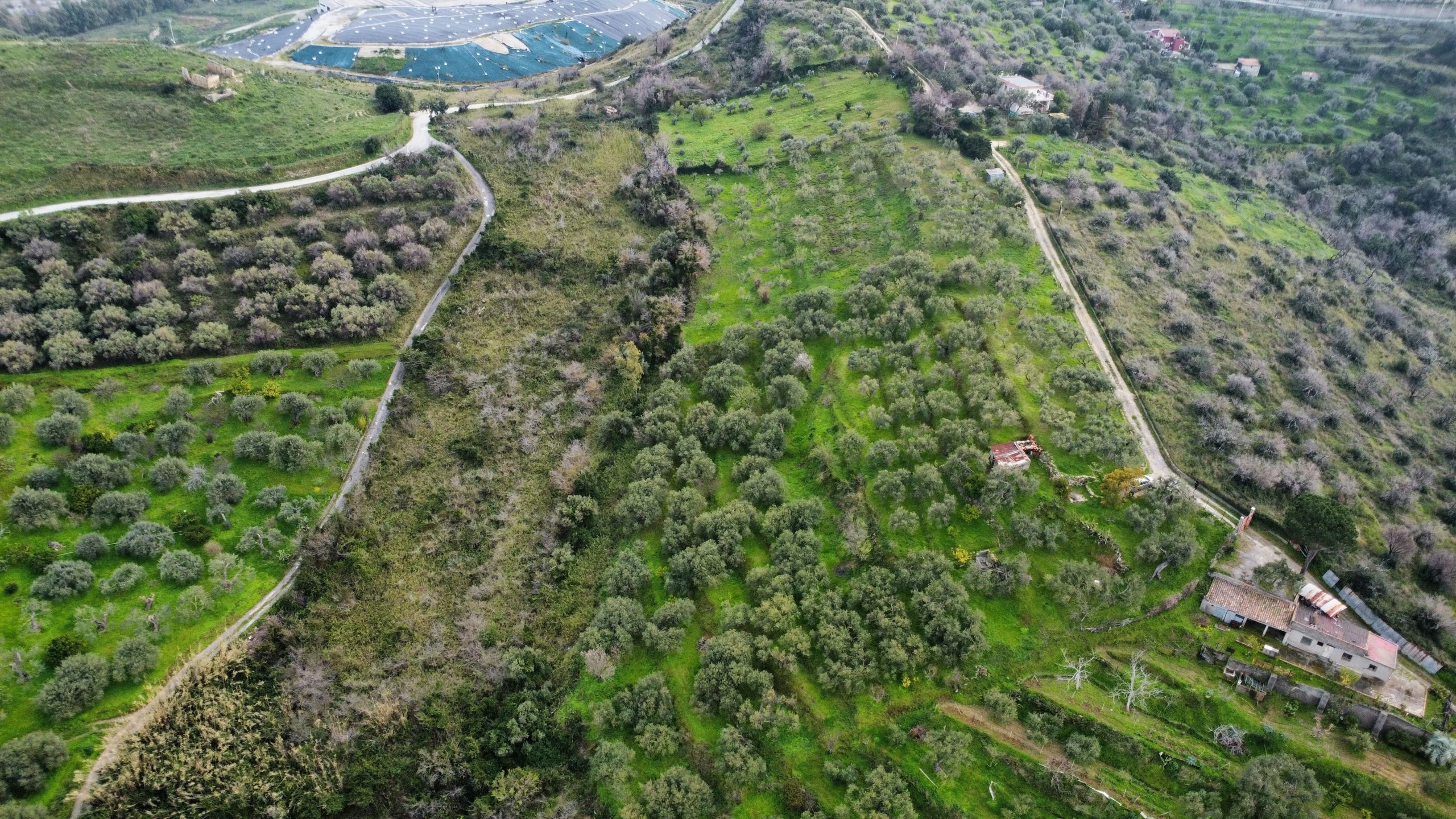 dji_fly_20260302_151246_924_1777468168172_photo_optimized