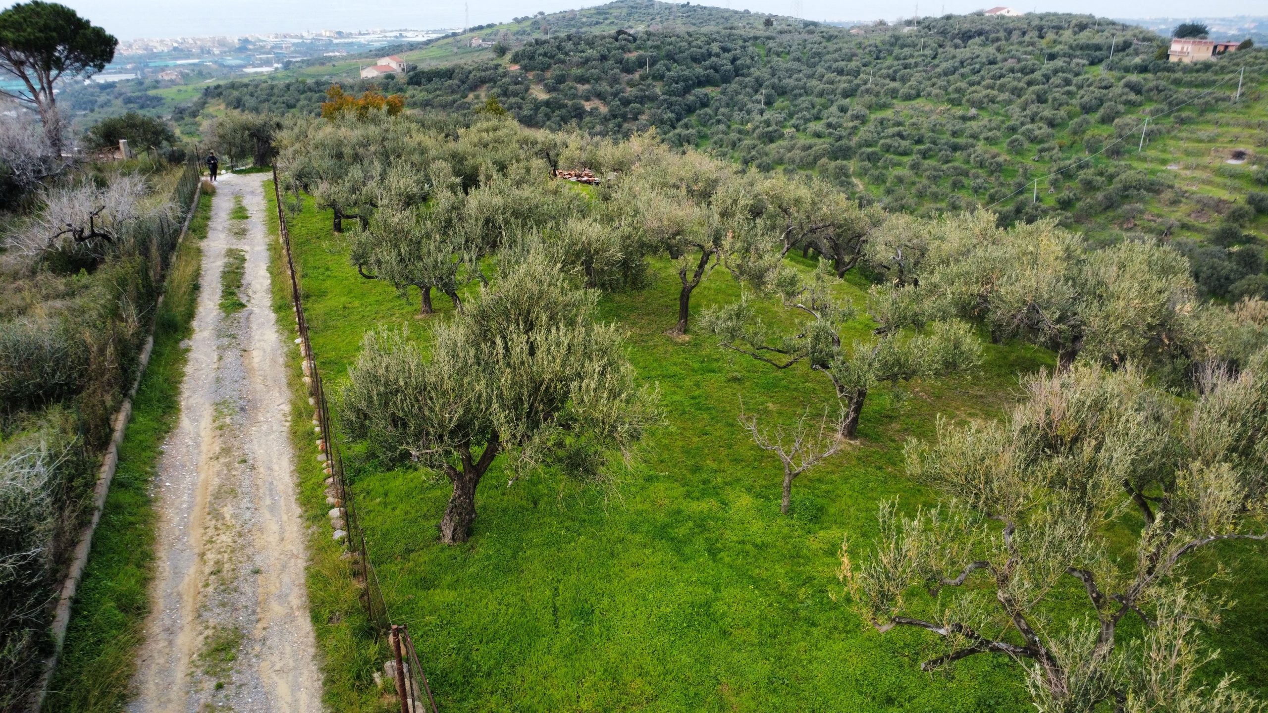dji_fly_20260302_151738_927_1777468171108_photo_optimized
