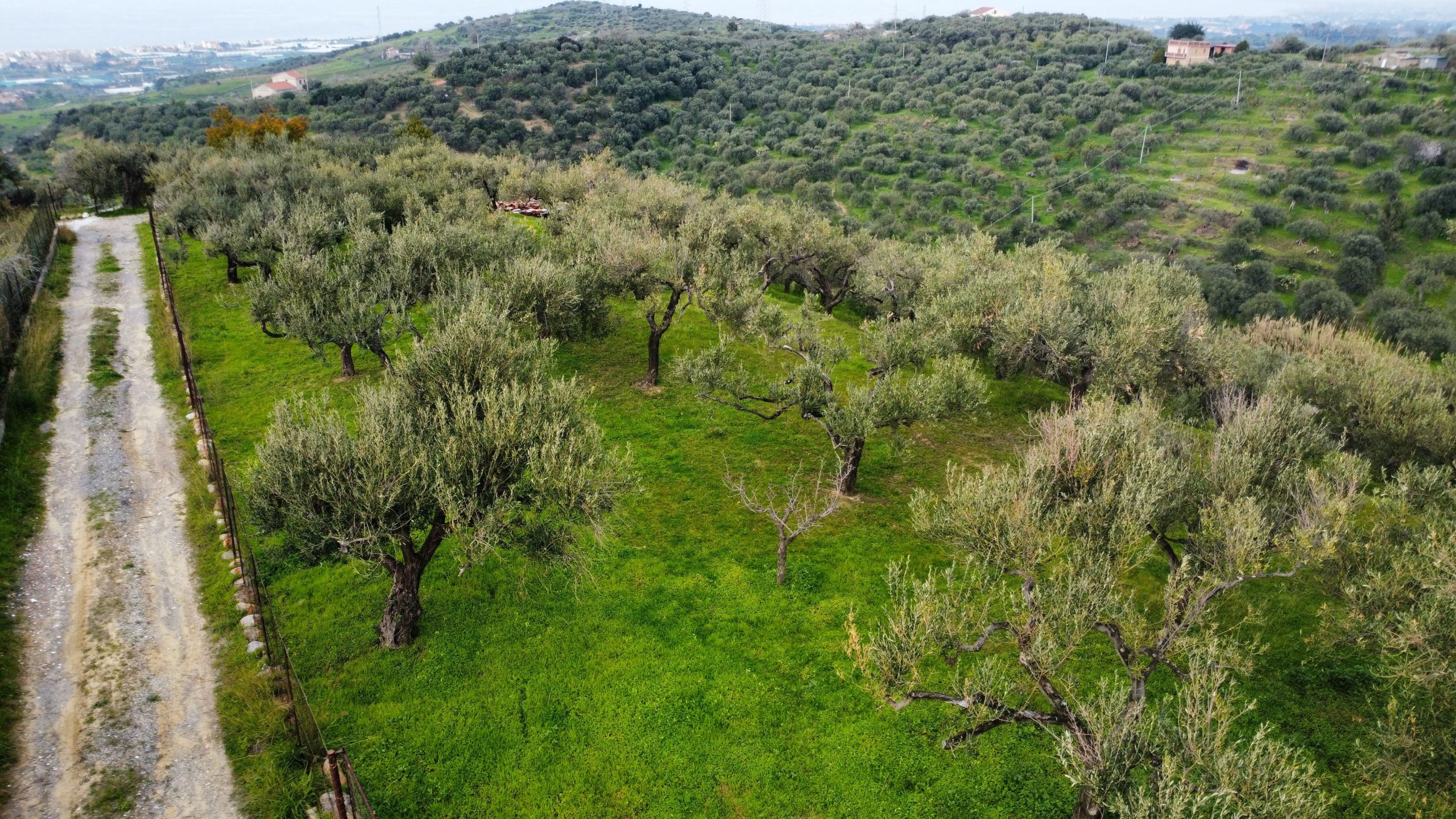 dji_fly_20260302_151748_928_1777468173105_photo_optimized