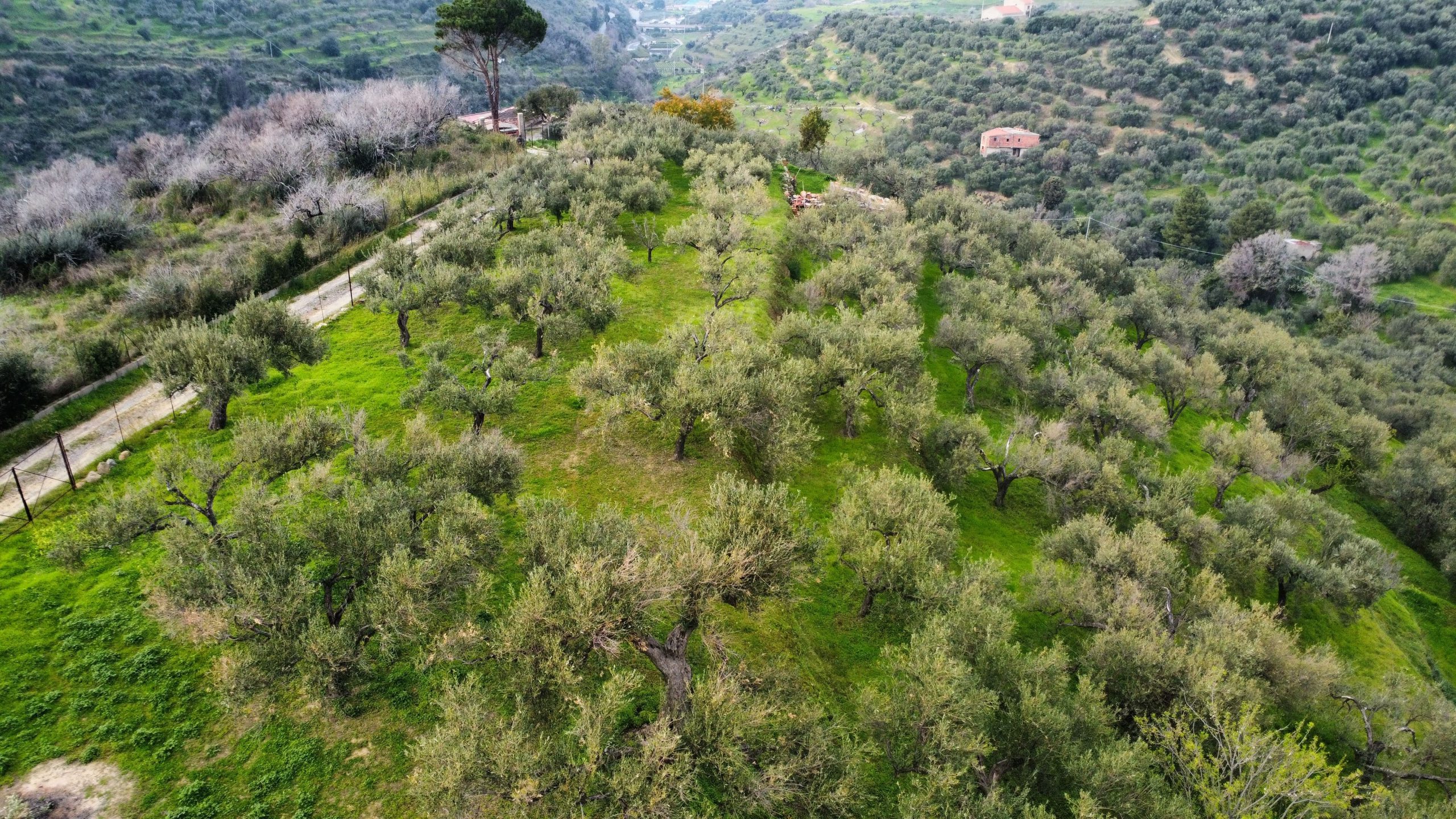 dji_fly_20260302_151808_930_1777468176973_photo_optimized