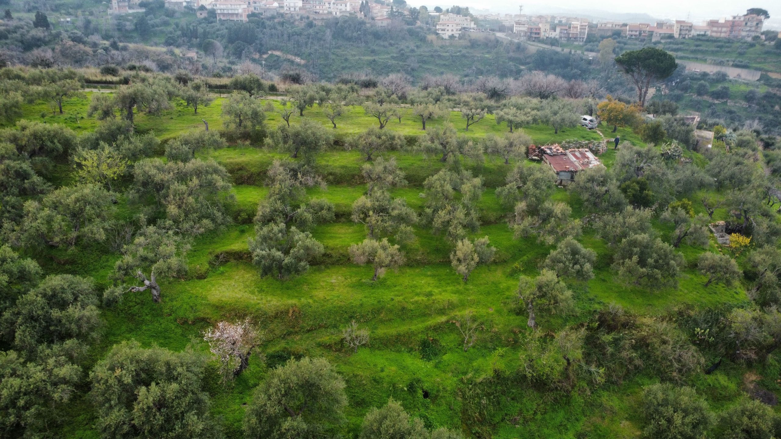 dji_fly_20260302_151826_931_1777468179167_photo_optimized