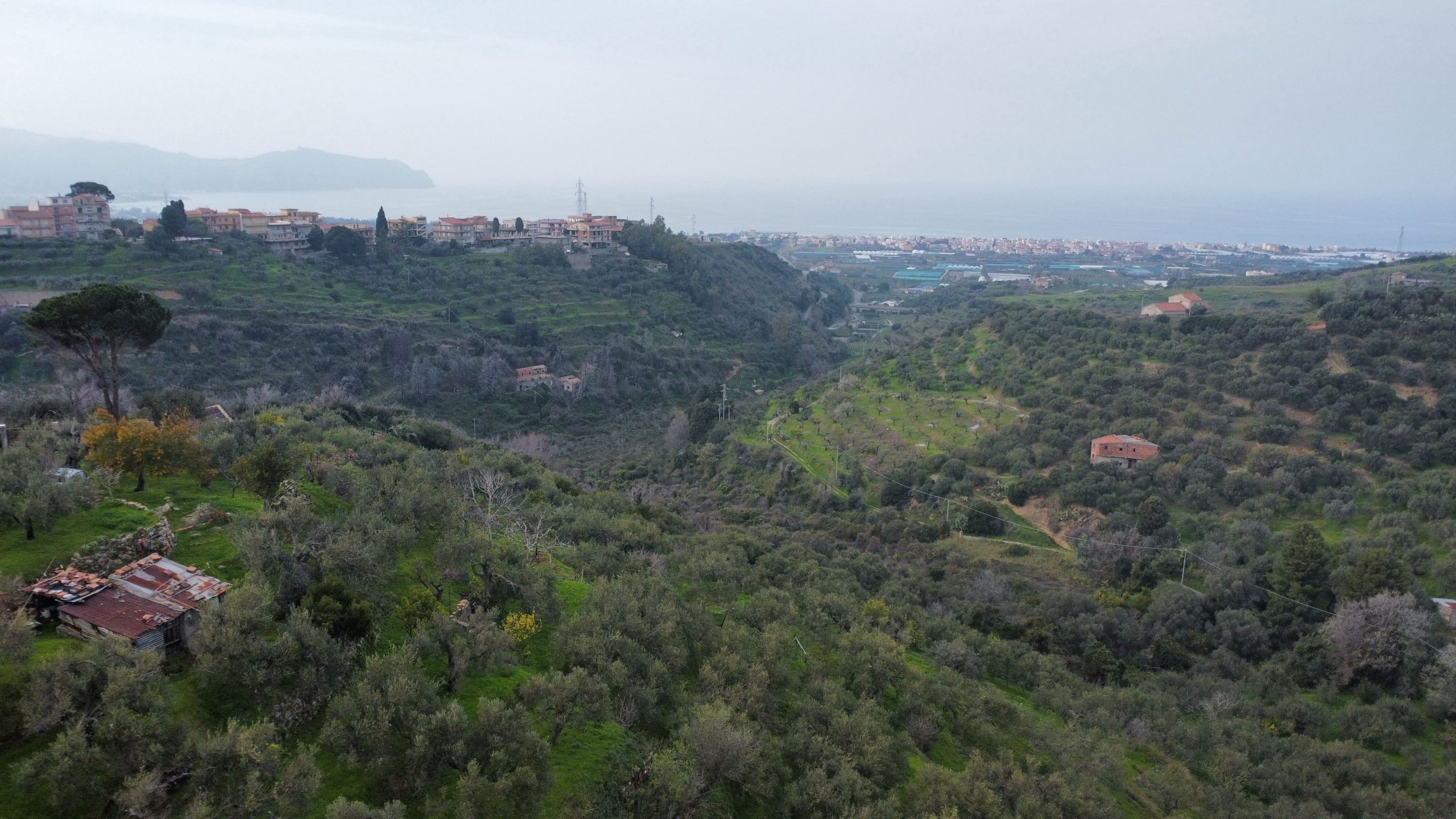 dji_fly_20260302_151838_932_1777468181849_photo_optimized