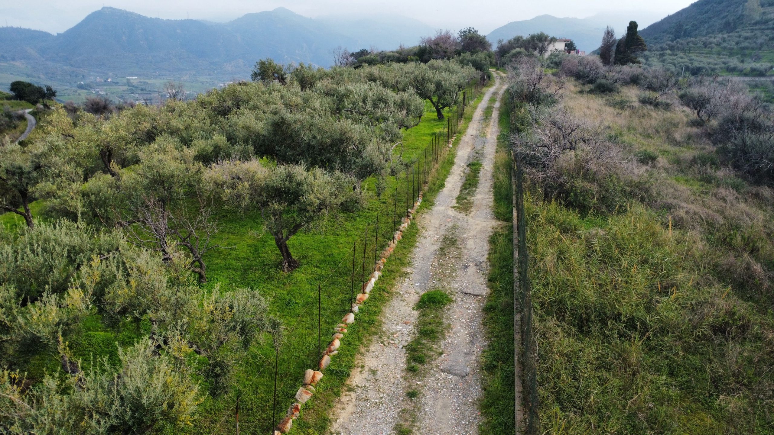dji_fly_20260302_151928_933_1777468184045_photo_optimized